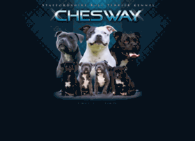 Chesway.cz