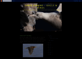 chrisgibbins-gullsbirds.blogspot.com