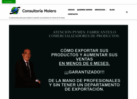 consultoriamolero.com