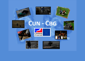 Cun-cbg.com