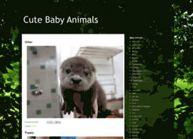 Cute-baby-animals.com