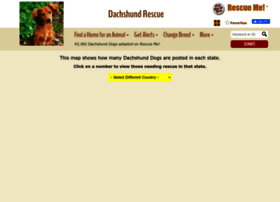 dachshund.rescueme.org