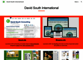 Davidsouthinternational.com