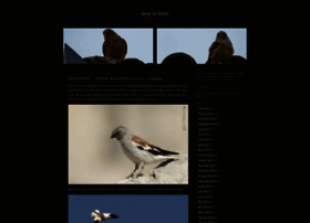 Deepinbirds.wordpress.com