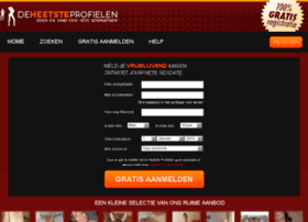 deheetsteprofielen.nl