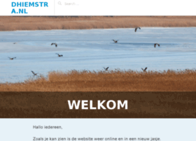 dhiemstra.nl