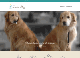Divine-dogs-ct.com