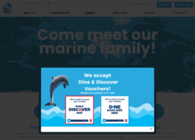 dolphinmarinemagic.com.au