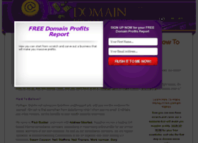 domainprofitguide.com