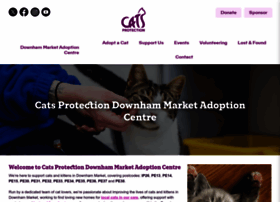 Downhammarket.cats.org.uk
