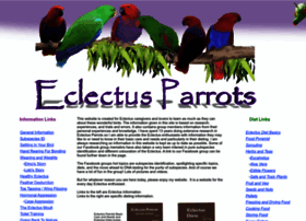 Eclectusparrots.net