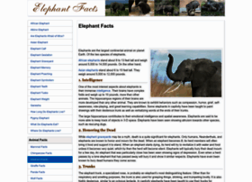 Elephantfacts.net