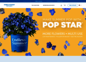 endlesssummerblooms.com