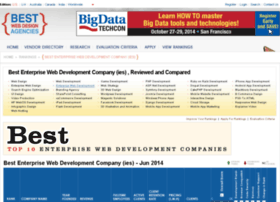 enterprise-web-development.bwdarankings.com