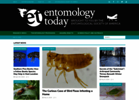 Entomologytoday.org