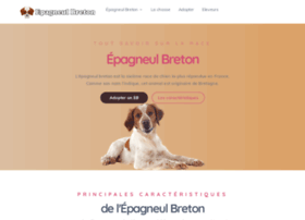 epagneul-breton.ws