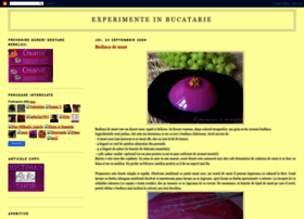 experimenteinbucatarie.blogspot.com