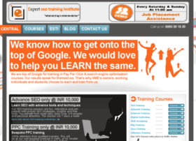 expert-seo-training-institute.com