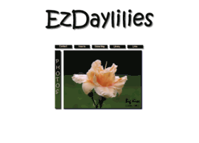 ezdaylilies.com