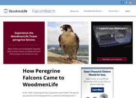 Falcons.woodmen.org