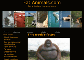 fat-animals.com