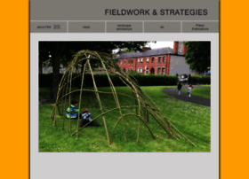 fieldworkandstrategies.com