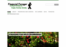 Financialforager.com