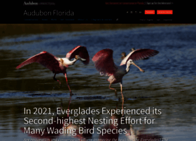 Fl.audubon.org