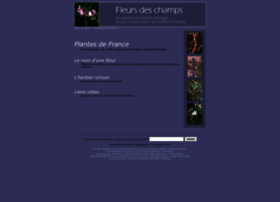 fleurs-des-champs.com