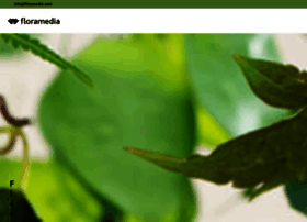 Floramedia.info