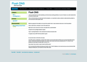 flush-dns.net