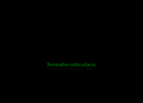 formatio-reticularis.de