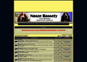 forum.bassety.net