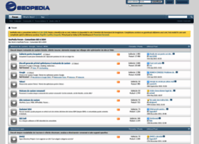 forum.seopedia.ro