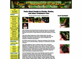 Fossil-treasures-of-florida.com