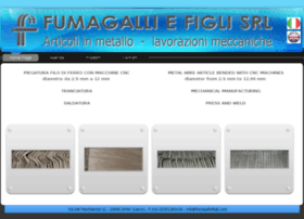 fumagalliefigli.com
