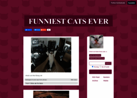 Funniestcats.tumblr.com