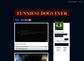 funniestdogs.tumblr.com