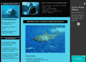 grand-requin-blanc.yatou.net