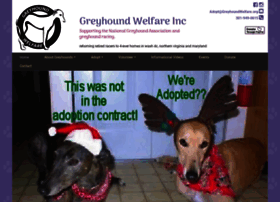Greyhoundwelfare.org