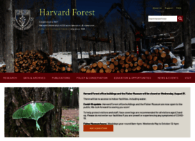 Harvardforest.fas.harvard.edu