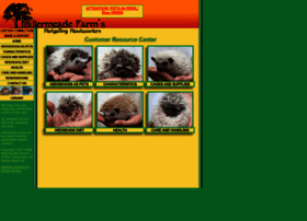 Hedgehogheadquarters.com