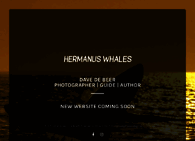 Hermanuswhales.co.za