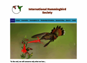 Hummingbirdsociety.org