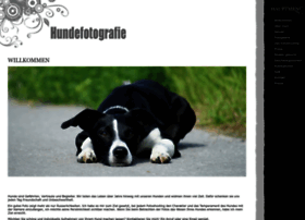 hundefotografie.ch
