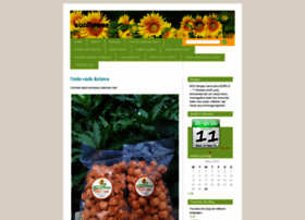 ilikesunflower.wordpress.com