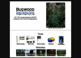 Images.bugwood.org
