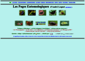 insectes-net.fr