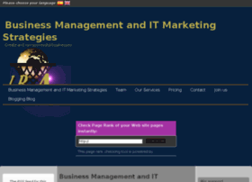 int-businessanalysts.com