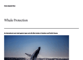 internationalwhaleprotection.org
